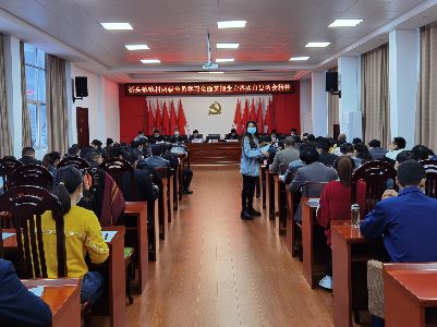 学思践悟葆初心 勇担作为谱新篇——桥头镇深入学习贯彻市县两会精神