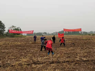 武山垦殖场：开展劳动竞赛 变冬闲为冬忙