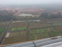 春浮园采风图片