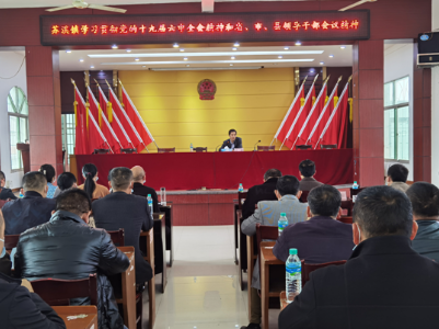 苏溪镇迅速组织学习贯彻党的十九届六中全会精神和省、市、县领导干部会议精神
