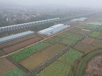 春浮园采风图片