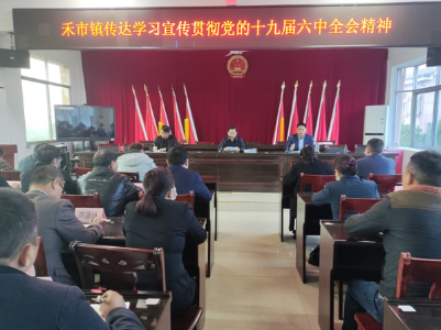 禾市镇学习宣传贯彻党的十九届六中全会精神