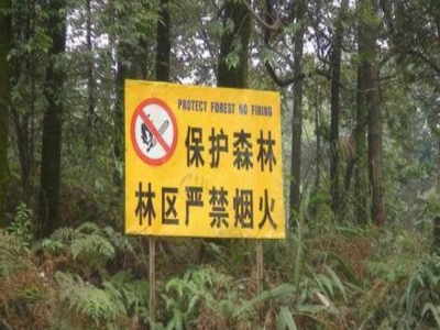 泰和垦殖场扎实开展森林防火宣传工作