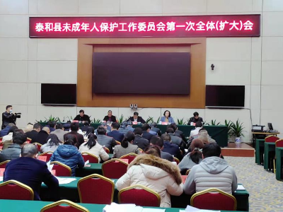 泰和县未成年人保护工作委员会第一次全体（扩大）会