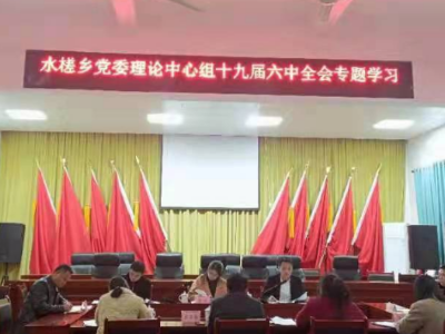 水槎乡专题学习党的十九届六中全会精神