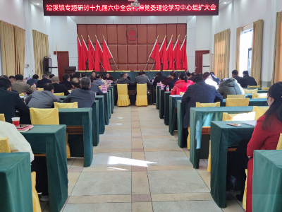 沿溪镇掀起学习贯彻党的十九届六中全会精神热潮