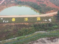 春浮园采风图片