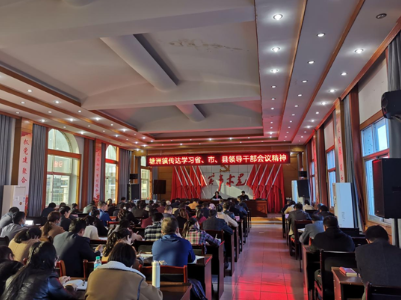塘洲镇传达学习党的十九届六中全会精神和省、市、县领导干部会议精神