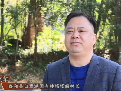 林长访谈（一） | 泰和：林长促项目 效益稳提升