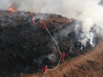 泰和县组织开展森林火灾应急演练
