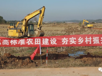 泰和：推进高标准农田建设 筑牢“粮仓”开新局