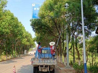 县交通运输局开展路域环境整治，扮靓农村公路沿线环境