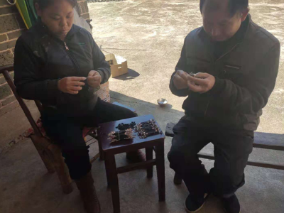 【典型引领振兴路】螺溪镇：拒绝“等靠要”，勤劳走好脱贫路