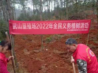 武山垦殖场开展义务植树活动