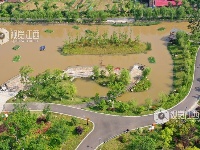 江西泰和：浮岛水草净化水质保护环境