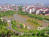 江西泰和：浮岛水草净化水质保护环境