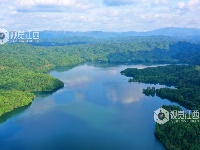 江西泰和：水碧岸绿风景如画