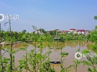 江西泰和：浮岛水草净化水质保护环境
