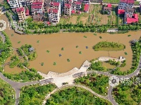 江西泰和：浮岛水草净化水质保护环境