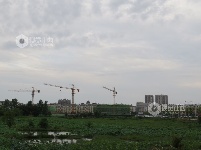 江西泰和：“重点项目建设”马不停蹄