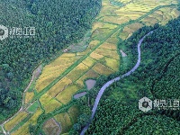 江西泰和：四好农村公路助推乡村振兴