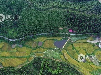 江西泰和：四好农村公路助推乡村振兴