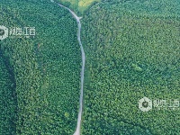 江西泰和：四好农村公路助推乡村振兴