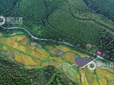 江西泰和：四好农村公路助推乡村振兴