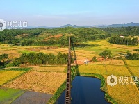 江西泰和：水利灌溉设施助力粮食丰产丰收