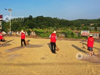 江西泰和：志愿服务助力夏收