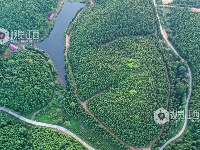 江西泰和：四好农村公路助推乡村振兴