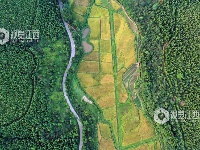 江西泰和：四好农村公路助推乡村振兴