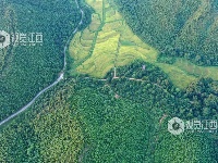 江西泰和：四好农村公路助推乡村振兴