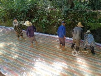 江西泰和：全力抗旱保丰收