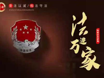抖音|生活中的家暴现象该如何应对？