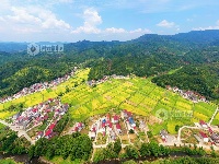 江西泰和：秋日田园美如画