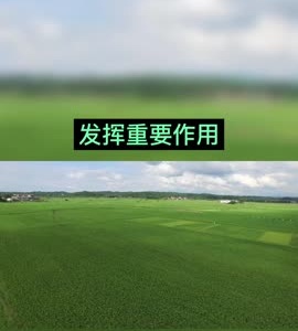 抖音|水利灌区抗旱发挥重要作用