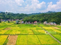 江西泰和：秋日田园美如画