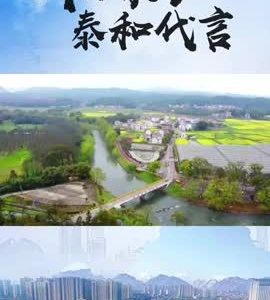 抖音|我为家乡泰和代言——杨澜