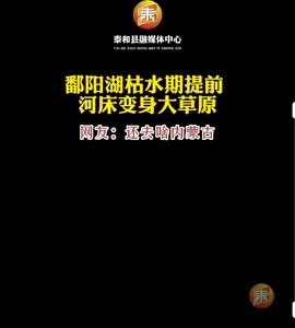 抖音|鄱阳湖枯水期提前河床变身大草原