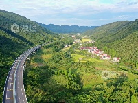 江西泰和：高速公路穿越绿色林区壮观如画