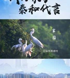 抖音|我为家乡泰和代言——南塘村