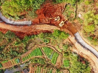 江西泰和：水利冬修施工忙