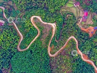 江西泰和：山路弯弯铺就乡村振兴路