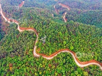 江西泰和：山路弯弯铺就乡村振兴路
