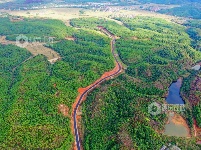 江西泰和：乡村产业路助力产业振兴