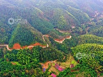 江西泰和：山路弯弯铺就乡村振兴路