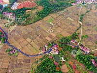 江西泰和：乡村产业路助力产业振兴