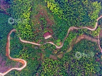 江西泰和：山路弯弯铺就乡村振兴路