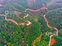 江西泰和：山路弯弯铺就乡村振兴路